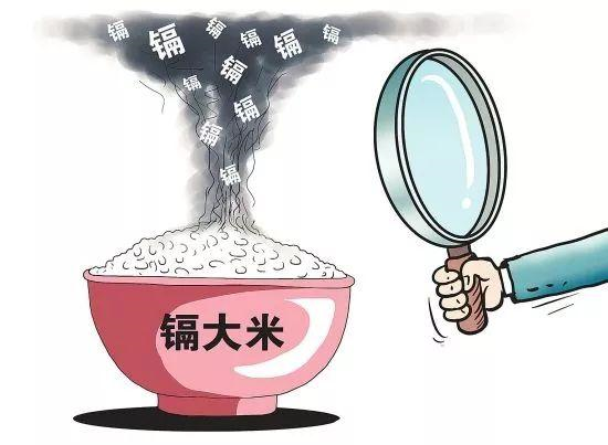 全自動石墨消解儀助力大米重金屬檢測